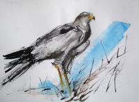 Animaux